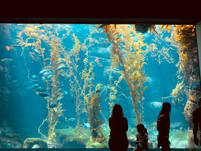 Birch Aquarium 