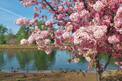 Lake Balboa/Anthony C. Beilenson Park