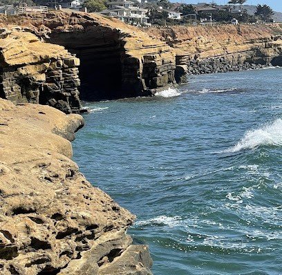 Lifeguard La Jolla Cove