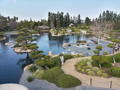 The Japanese Garden